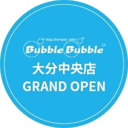 DLD中央店GARNDOPEN